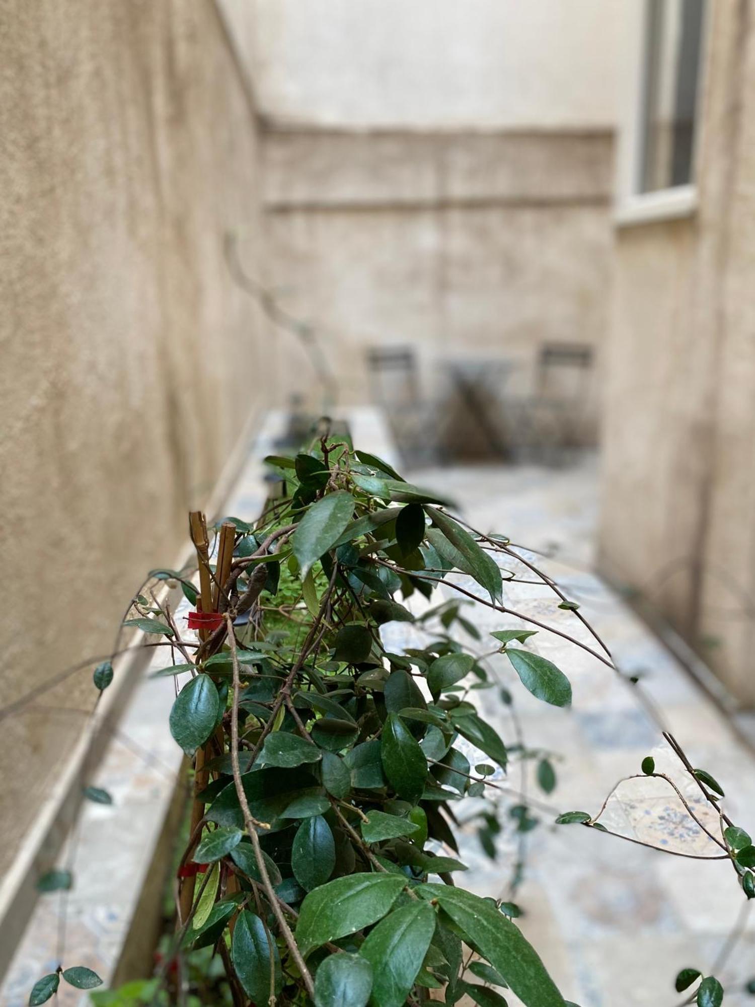 شقة A Place 4 U Below Acropolis أثينا المظهر الخارجي الصورة